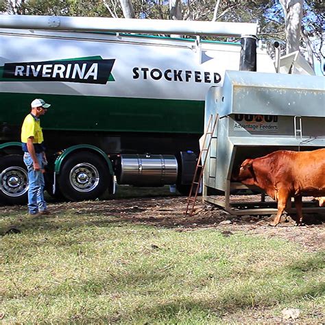 On-Farm Stock Feed Delivery | Riverina