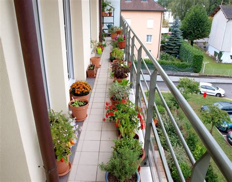 Urban Oasis: Balcony Gardens That Prove Green Is Always In Style