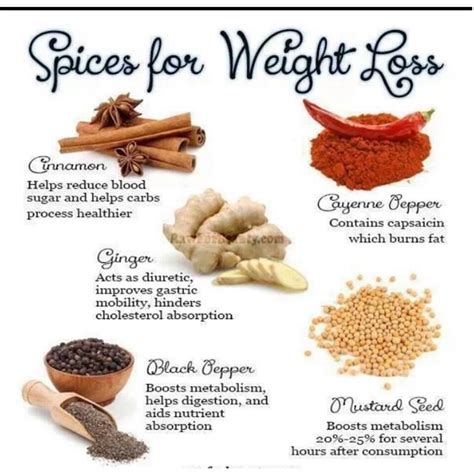 5 Top Spices For Weight Loss. by Davyoli Yolidav - Musely