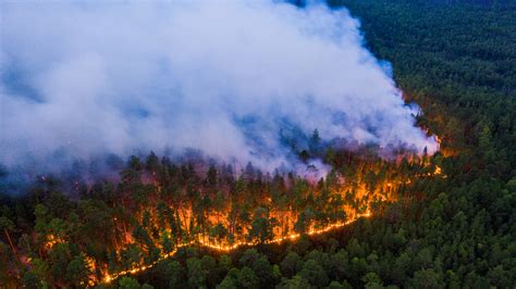 Las imágenes más impactantes de los incendios forestales causados por ...