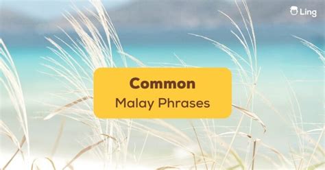 10+ Malay Quotes That You Won't Stop Thinking About - ling-app.com