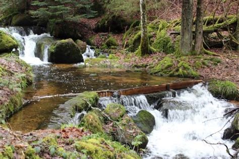 Bad Wildbad: Blueberries and Baths - Travel, Events & Culture Tips for Americans Stationed in ...