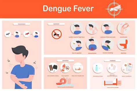 Vector illustration infographics dengue fever symptoms, transmission, prevention and treatment ...