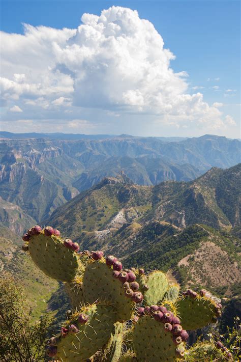 Photo Essay: Hiking The Copper Canyon | Planet Bell