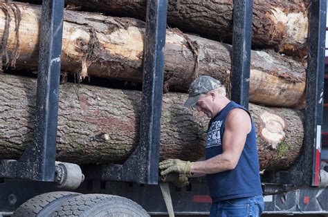 Vermont’s Forest Products Industry: In Transition and Hopeful for the ...