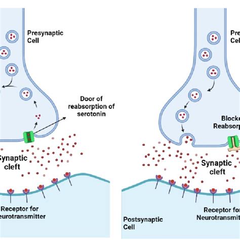 Mechanism of action of benzodiazepines | Download Scientific Diagram