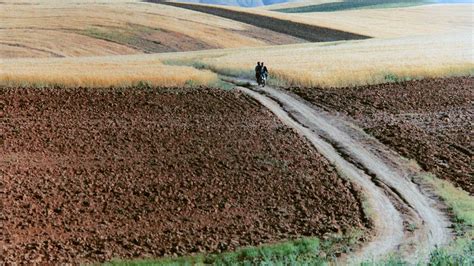 Abbas Kiarostami, the Photographer — Blind Magazine