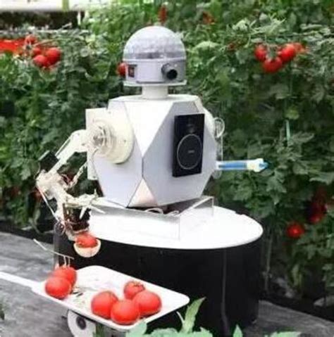 Tomato harvesting robot. | Download Scientific Diagram