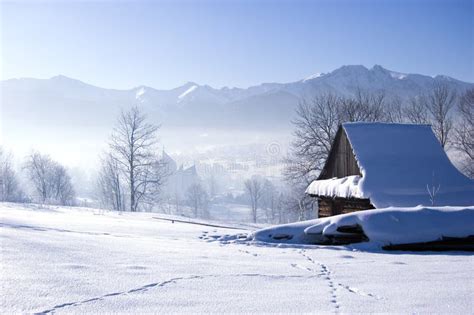 Winter Scene Royalty Free Stock Photography - Image: 7668187