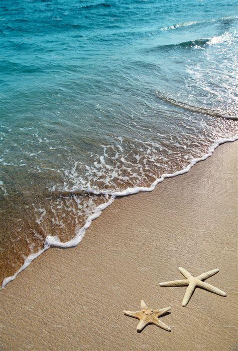 two starfish on a beach Sea And Ocean, Ocean Beach, Beach Sand, Ocean Waves, Beach Waves, Ocean ...