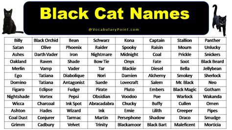 200+ Best Black Cat Names (Unique & Badass) - Vocabulary Point