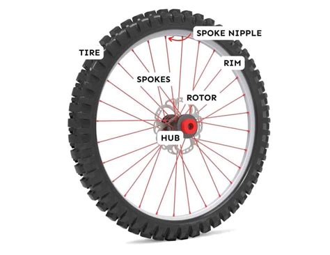 Bike Anatomy: A Complete Glossary + Diagrams! | Two Wheeled Wanderer