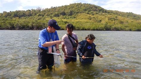 Linking humans with blue carbon ecosystems | Mirage News