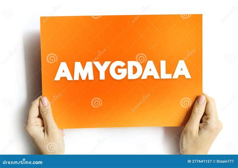 Amygdala is the Integrative Center for Emotions, Emotional Behavior ...