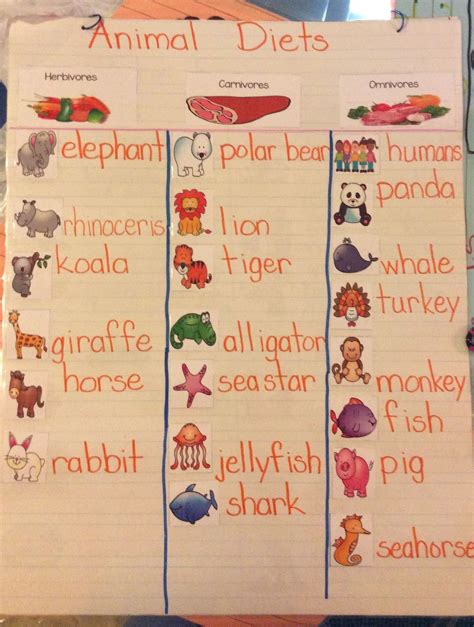 Learning what animals are herbivores, carnivores, and omnivores. Students helped to create t ...