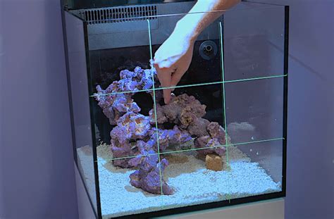 Live Rock Aquascaping Ideas