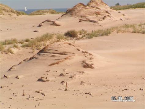 Beach in Leba - Photo 19/117