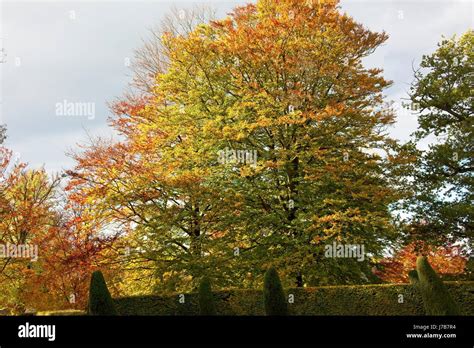 CHATSWORTH HOUSE GARDENS Stock Photo - Alamy