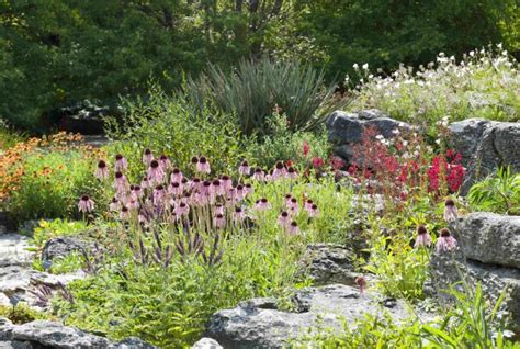 Cambridge University Botanic Garden