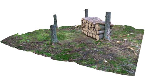 FOREST 3D Model $99 - .obj .max - Free3D