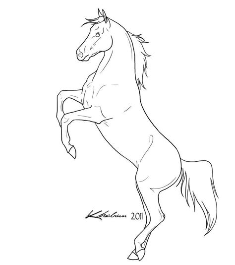 DIY height chart image | Horse coloring pages, Horse coloring, Horse outline