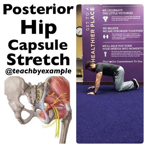 Kip Thorstenson, DPT, CSCS on Instagram: “Posterior hip capsule stretch. A stretch that can be ...