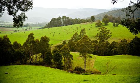 Scottsdale - Discover Tasmania