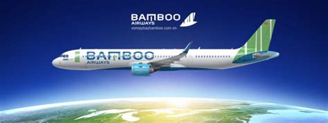 Logo Bamboo Airways – biểu tượng cây tre hiên ngang trước gió bão