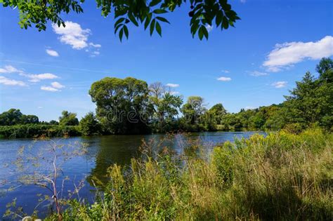 Nature at the Fulda stock image. Image of river, trees - 266172511