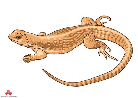 Free Lizard Cliparts, Download Free Lizard Cliparts png images, Free ...