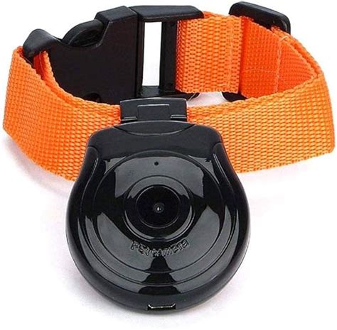 Gps Pet Collar Cat at Martin Fletcher blog