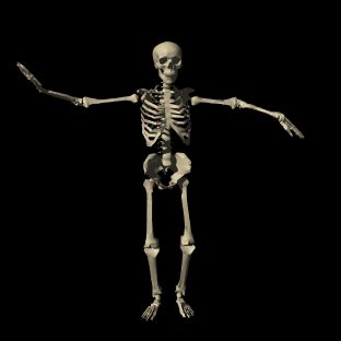 Transparent Spooky GIF - Find & Share on GIPHY