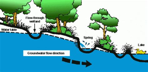 Groundwater Movement | Well Water Program | Oregon State University