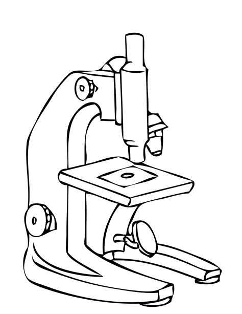 compound light microscope drawing with label Microscope parts compound diagram drawing light ...