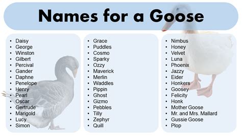 Adorable Names for a Goose – Name Ideas for Your Pet | Instagram username ideas, Names, Goose