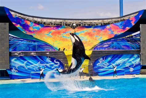 SeaWorld le dirá adiós a su show de Orcas asesinas