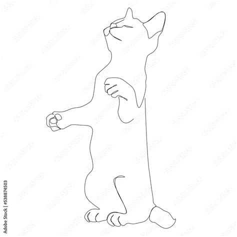 Continuous one line drawing of cat silhouette. Cute cat standing on two ...