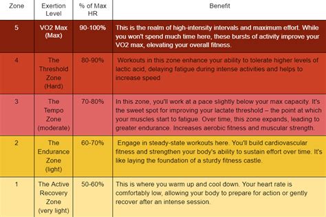 Heart Rate Zones DECLASSIFIED: Your Path to Optimal Fitness