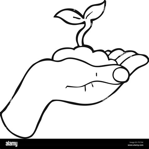 freehand drawn black and white cartoon seedling growing held in hand Stock Vector Image & Art ...