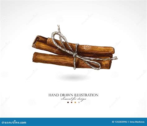 Illustration of Cinnamon Sticks Drawn by Hand on a White Background. Stock Illustration ...