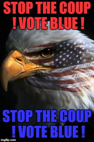 STOP THE COUP ! VOTE BLUE ! - Imgflip