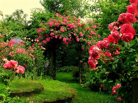 Unique Rose Flower Garden . Top Collection of different types of ...