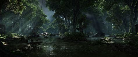 1920x1080 resolution | forest trail, Crysis 3, video games, forest ...