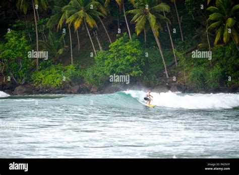 Surfing in Mirissa, Sri Lanka Stock Photo - Alamy