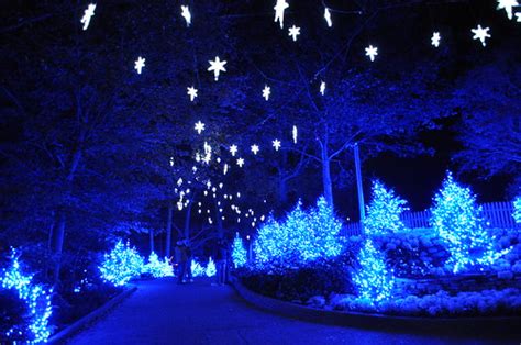 Busch Gardens Williamsburg Brings Holiday Joy with Christmas Town