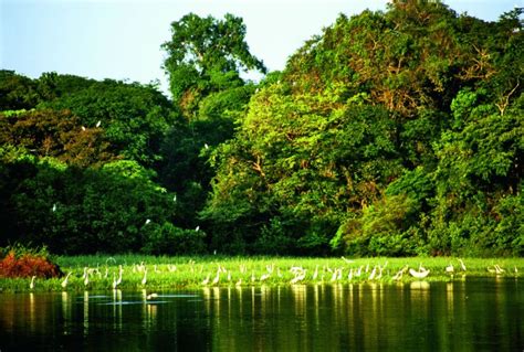 Sexto Sentido: AMAZONAS, Maravilla Natural del Perú para el Mundo