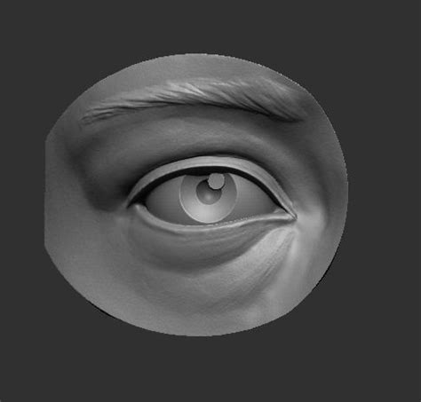 Eye reference 3D model 3D printable | CGTrader