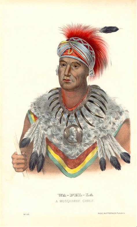 Meskwaki - Wikipedia American Indian Art, Native American History ...