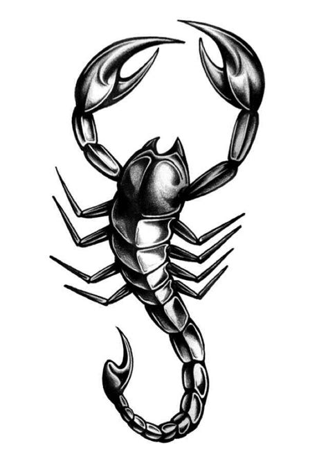 Animal | Tatouage de scorpion, Idées de tatouages, Tatouage scorpion