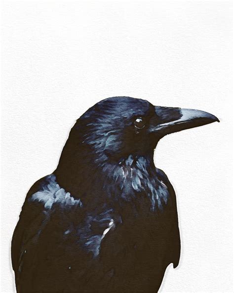 Raven Art Print Raven Decor Raven Bird Picture Raven Wall - Etsy